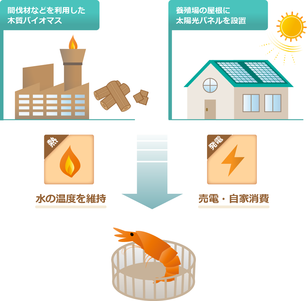 「太陽光発電」と「バイオマス発電」
