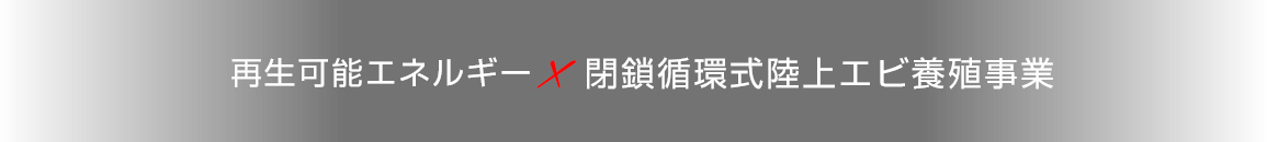 再生可能エネルギー×陸上養殖事業